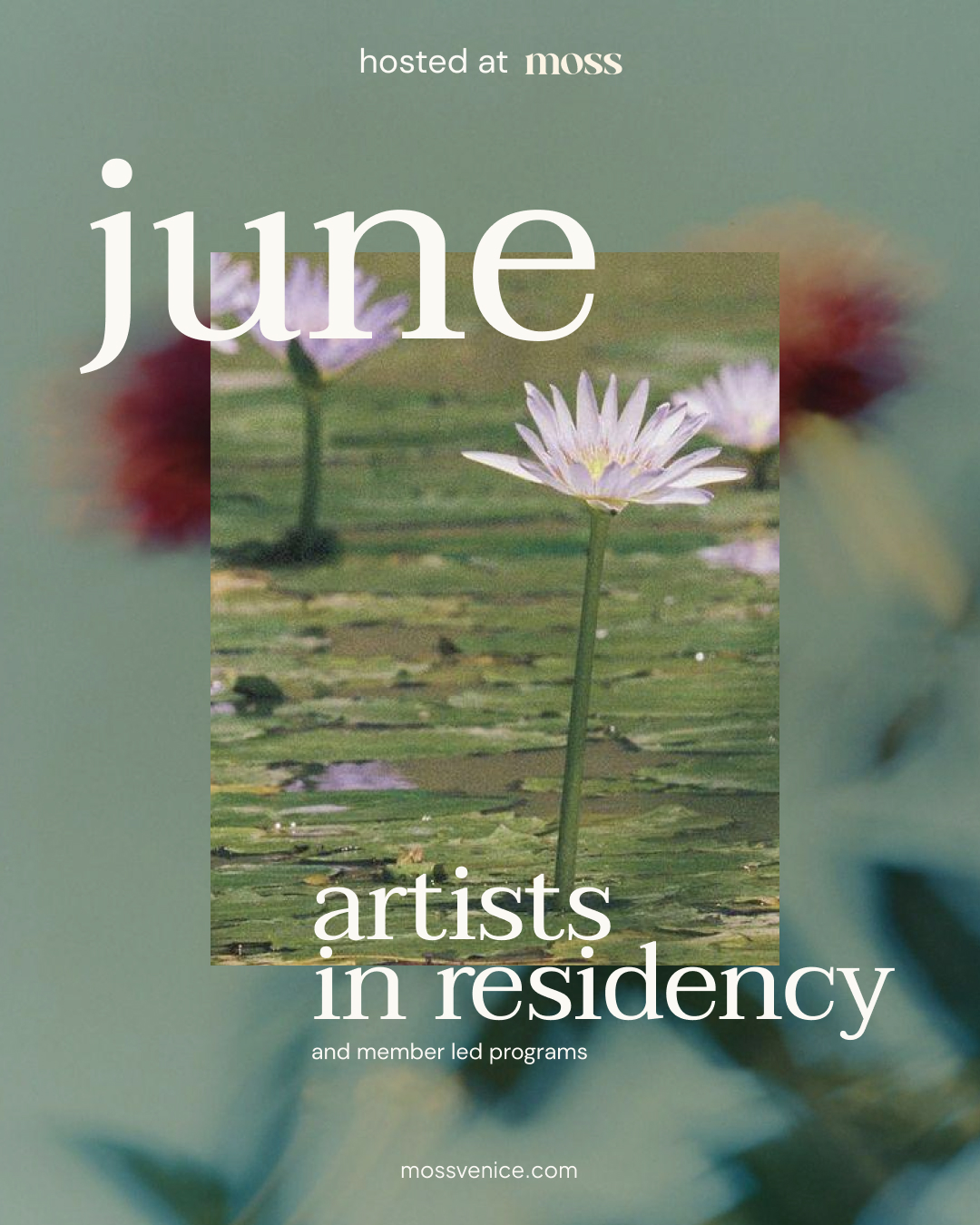 Moss June artists in residency social campaign