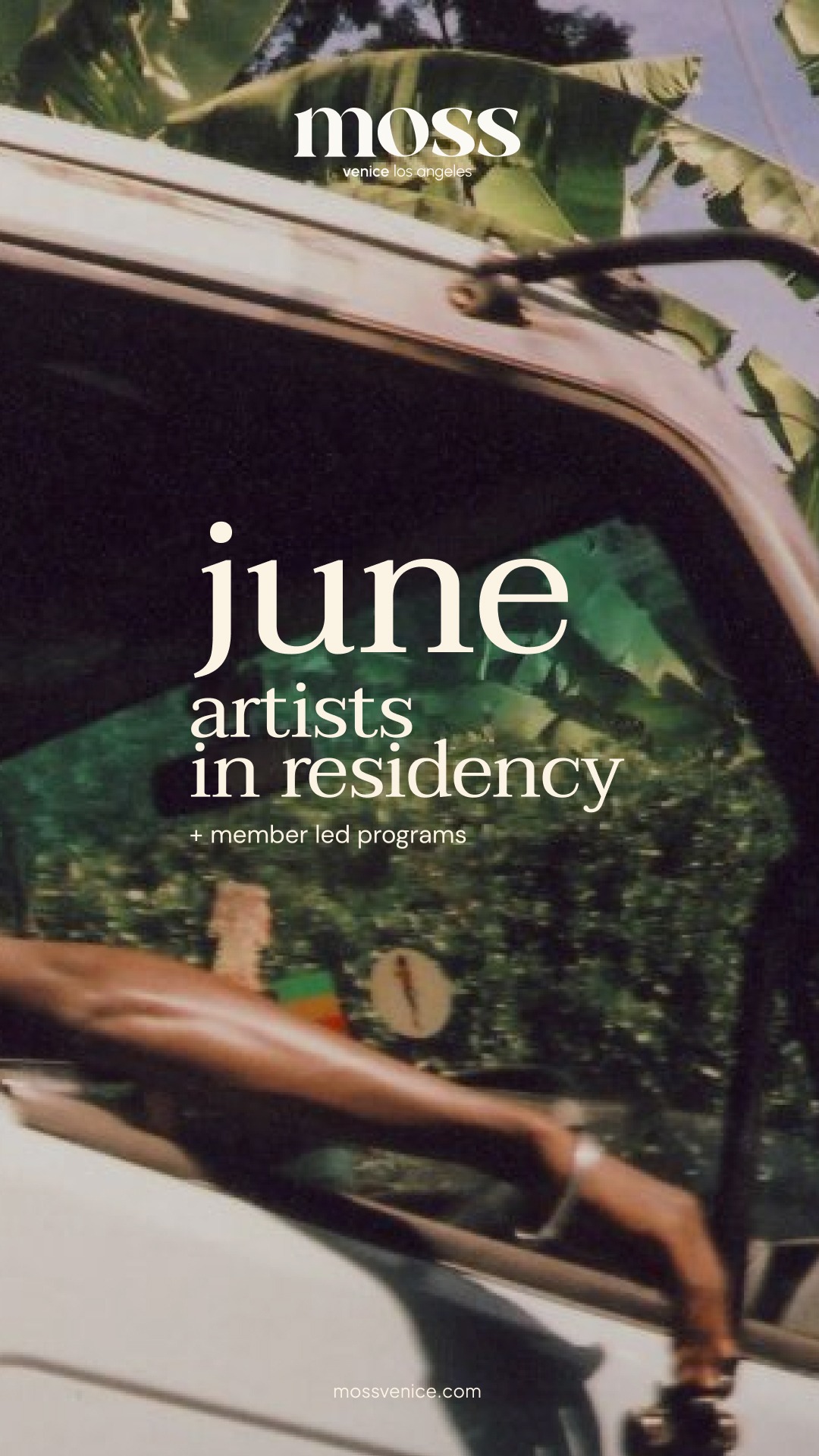 Moss June artists in residency Instagram story